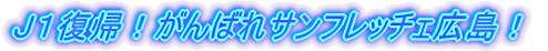 �i�P���A�I����΂�T���t���b�`�F�L���I 