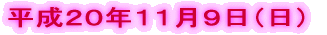 �����Q�O�N�P�P���X���i���j