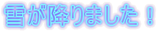 �Ⴊ�~��܂����I