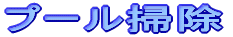 �v�[���|��