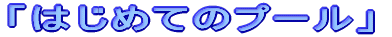 �u�͂��߂Ẵv�[���v