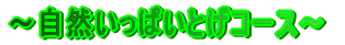 �`���R�����ς��Ƃ��R�[�X�`